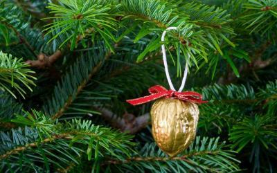 ‘It’s the season!’