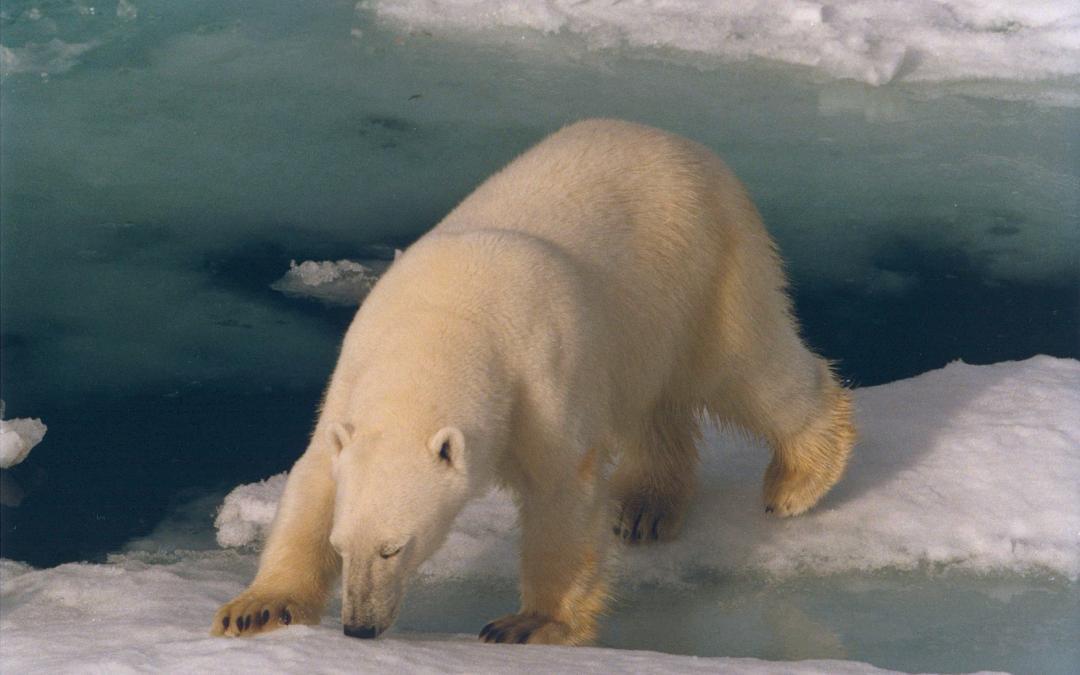 Piekeren stoppen in 7 weken